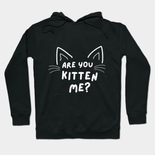 Are You KITTEN ME - funny and cute play on words Hoodie